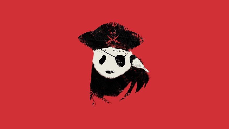 Panda Pirate with Bird