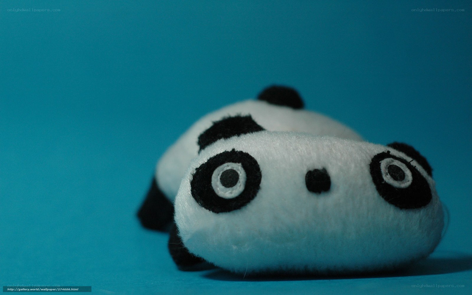 Panda plush toy on blue