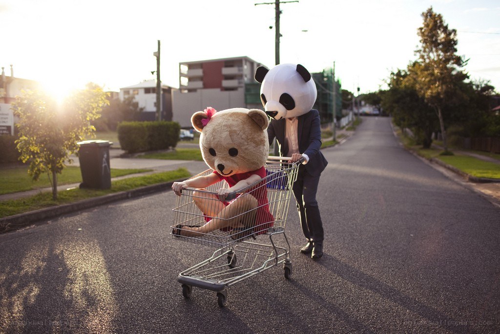 Panda pushing teddy bear in cart