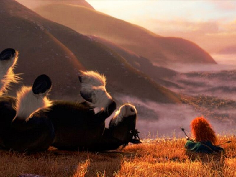Panda Rolling on Hill