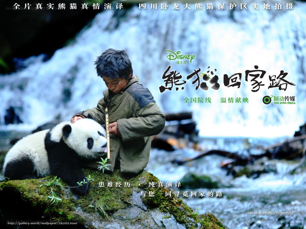 Panda's Journey Home