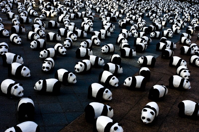 Panda Sculptures on Pavement — Black