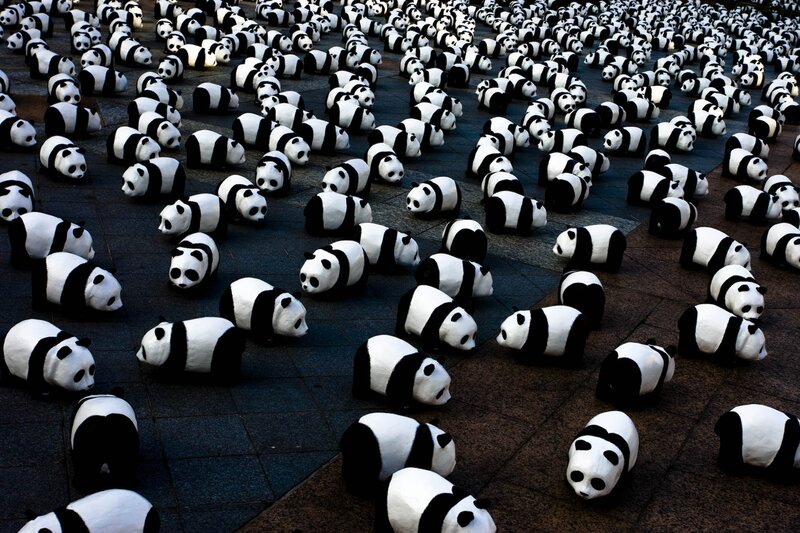 Panda sculptures on pavement