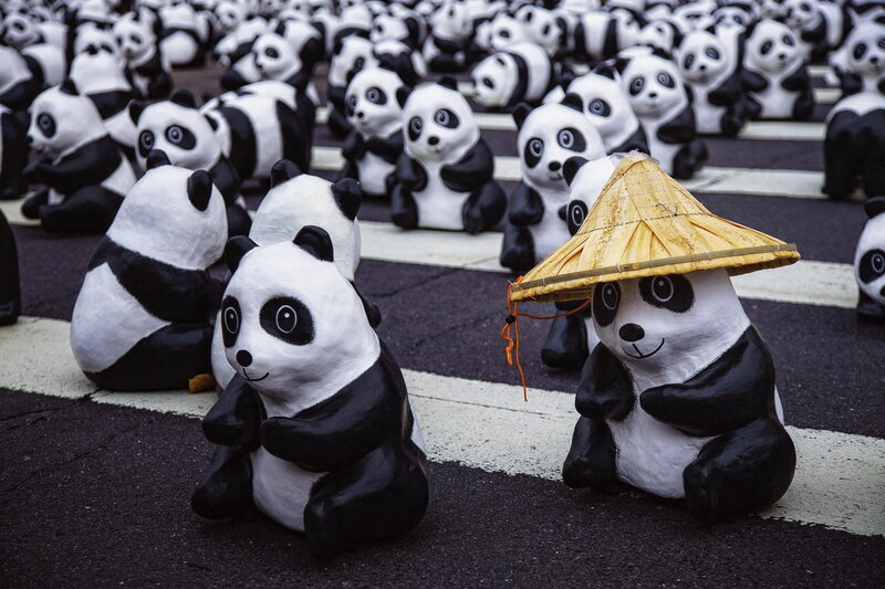 Panda Sculptures on Street