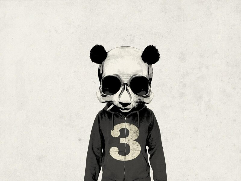 panda skull with hoodie