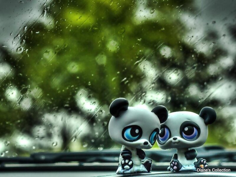 Panda toys in the rain