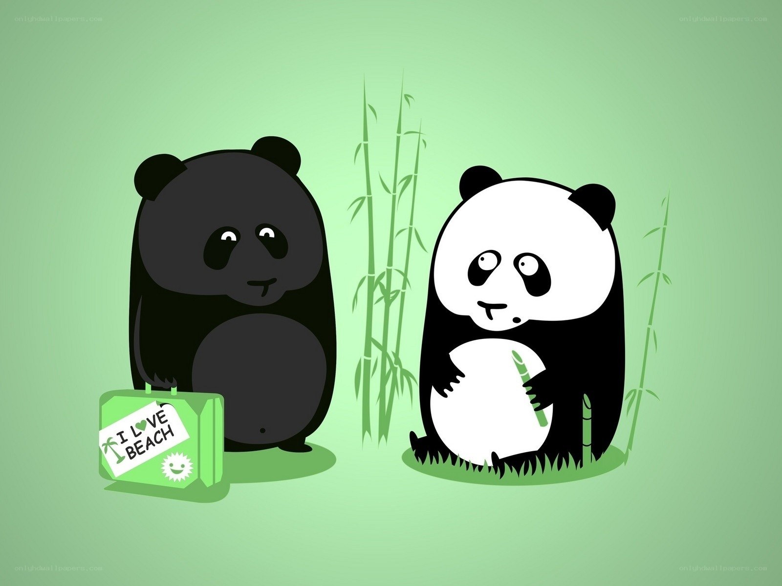 Panda travel buddies