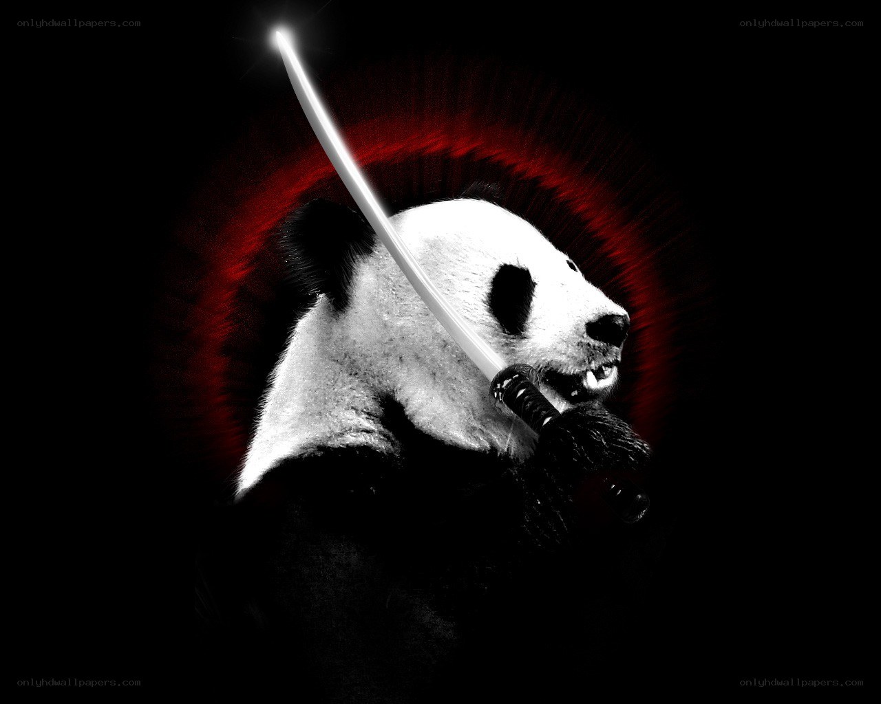 panda with glowing sword