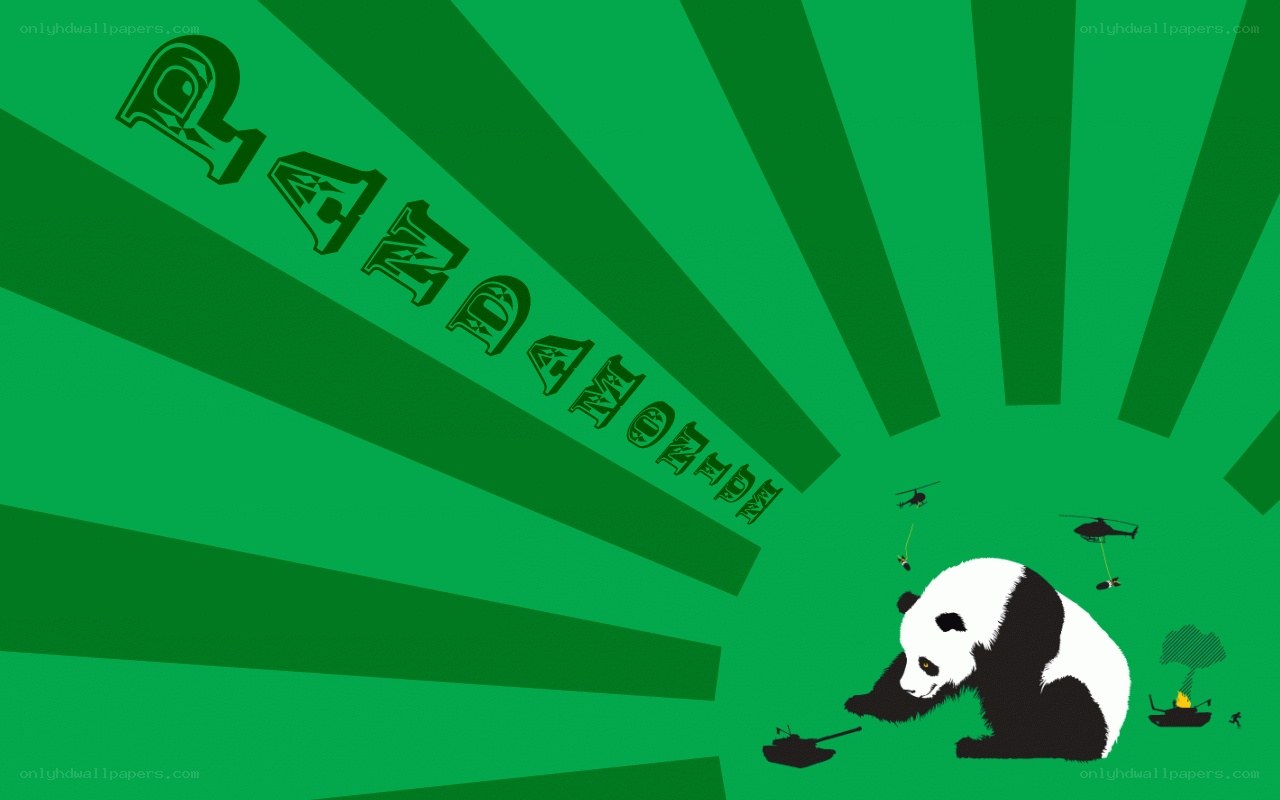 Panda with military elements
