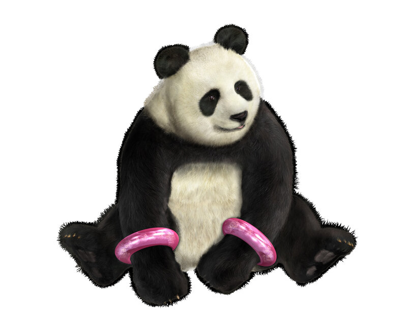 panda with pink rings