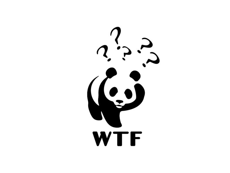 Panda with Question Marks — Black