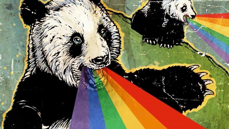 Panda with rainbow beam