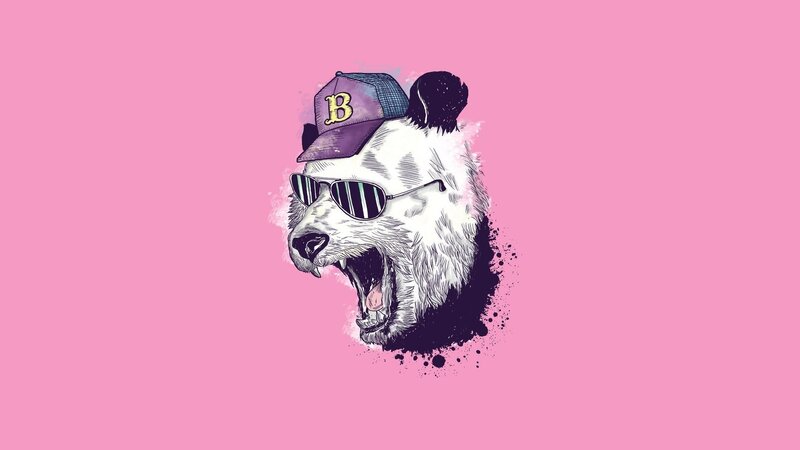 panda with sunglasses and cap