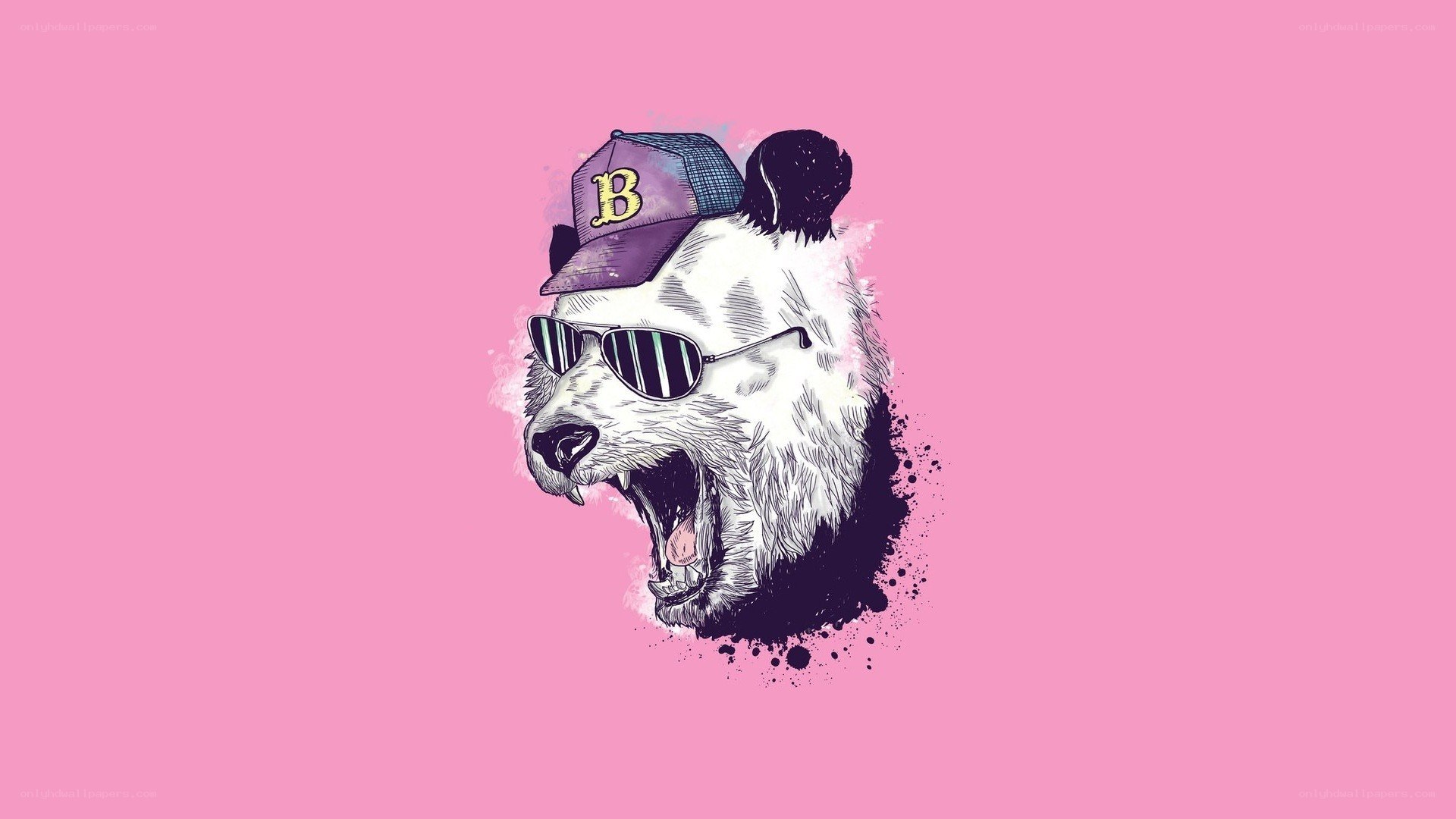 panda with sunglasses and cap