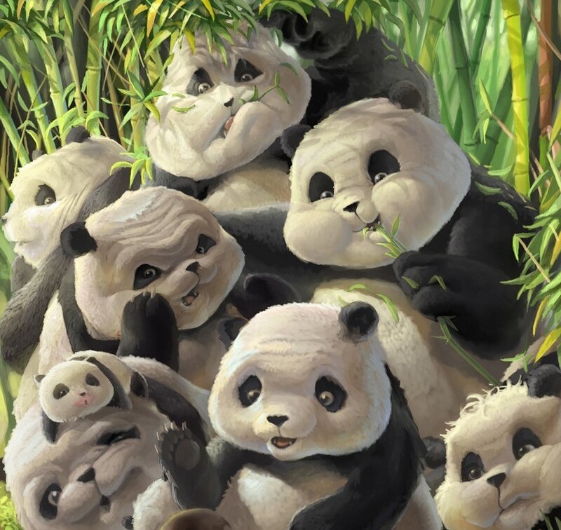 Pandas in Bamboo