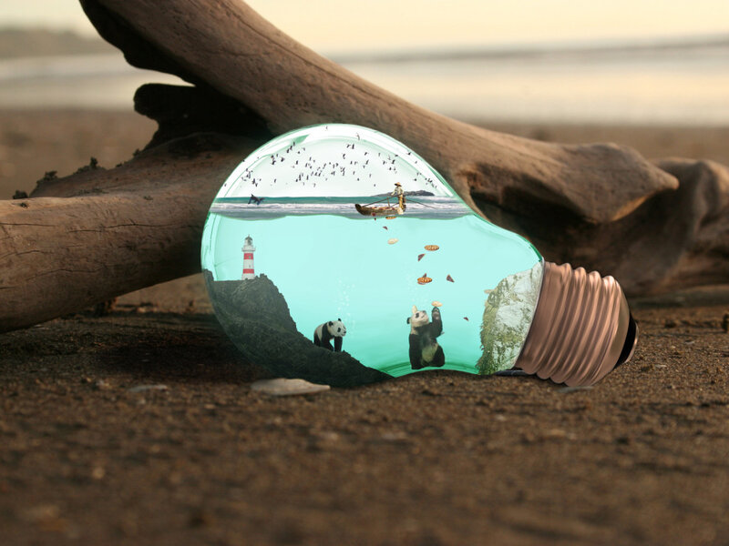 Pandas in Light Bulb — Brown