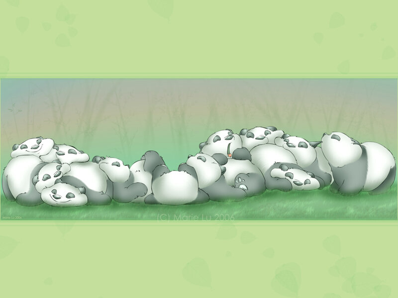 Pandas sleeping in a row