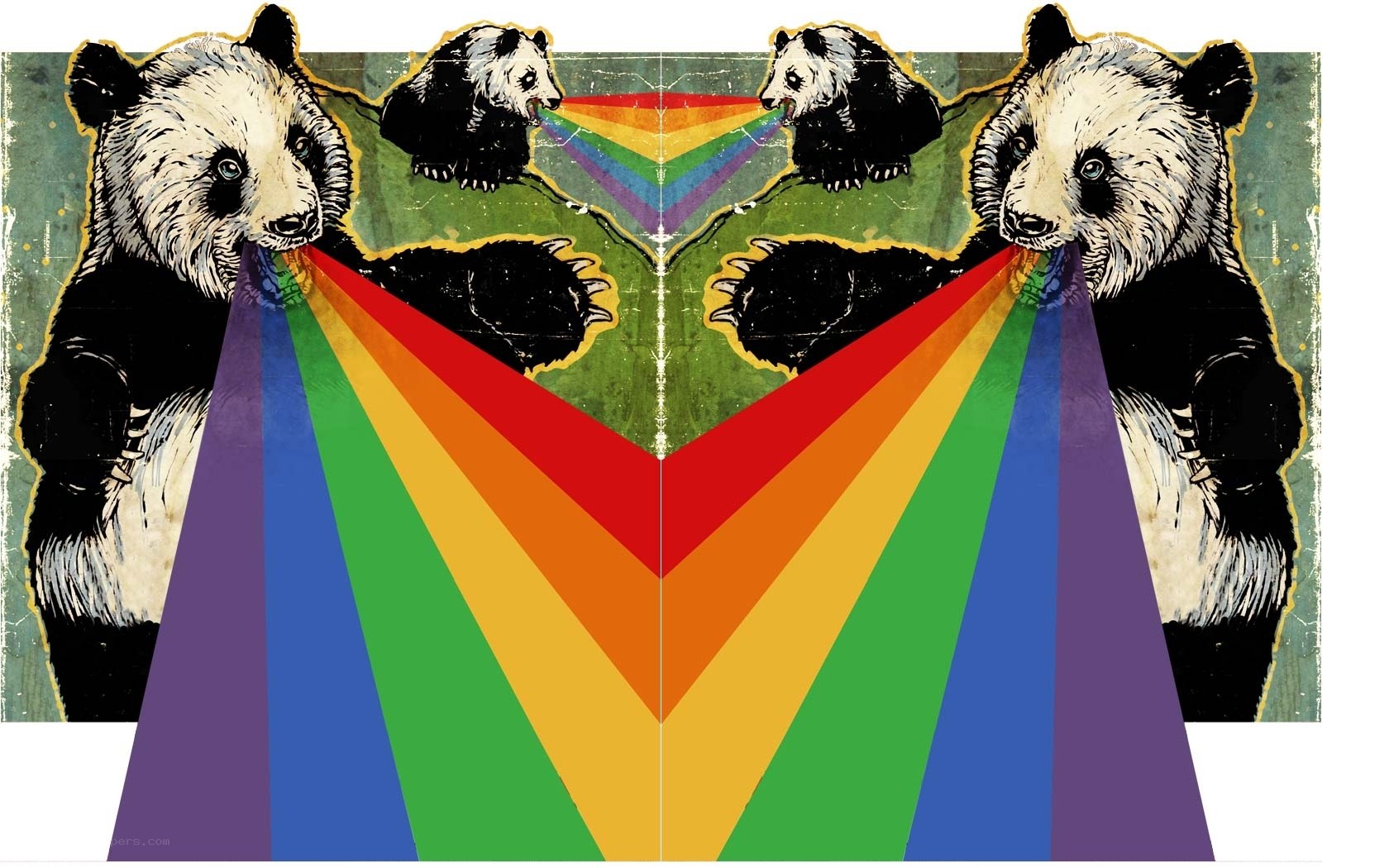Pandas with rainbow beams