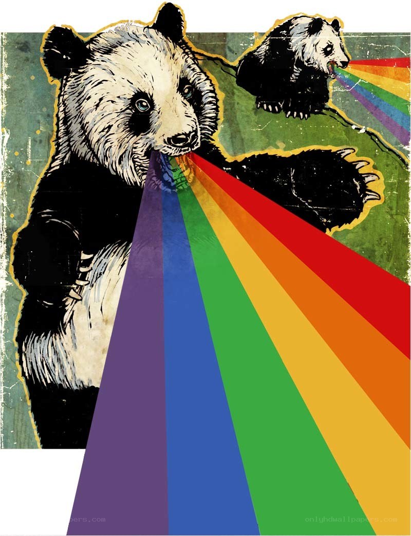 pandas with rainbow beams