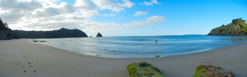 Panoramic beach with sea and cliffs