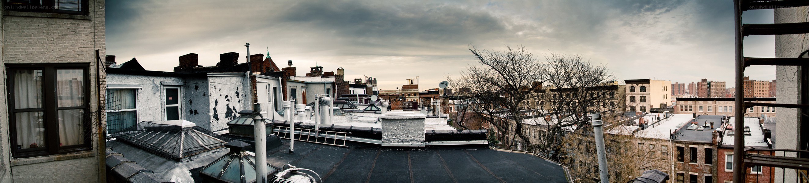 Panoramic city rooftop view