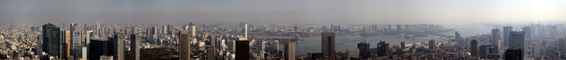 Panoramic Cityscape View — Gray