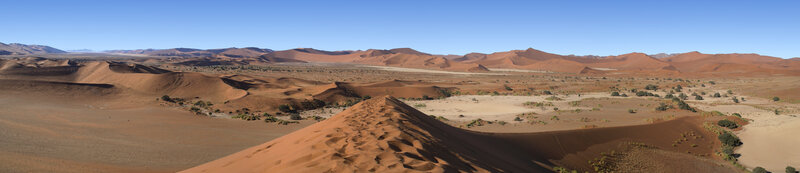 Panoramic desert dunes