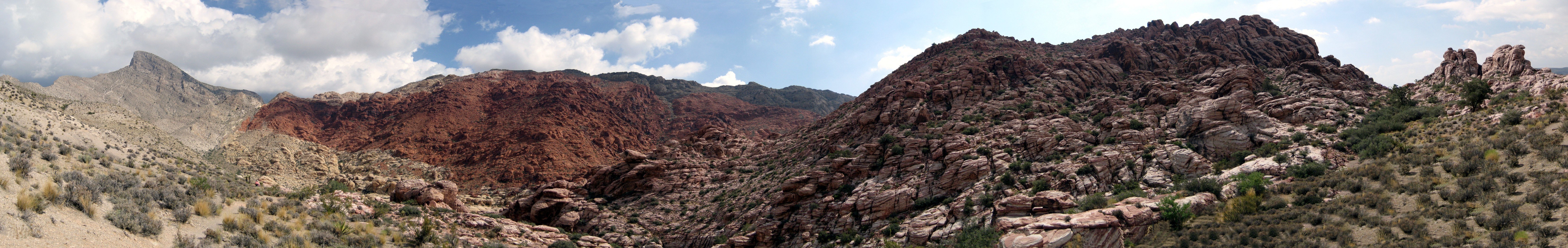 Panoramic desert rock formations