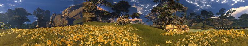Panoramic field of yellow flowers