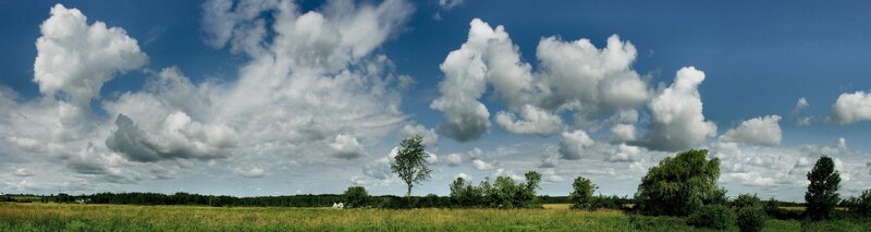 Panoramic field under cloudy sky