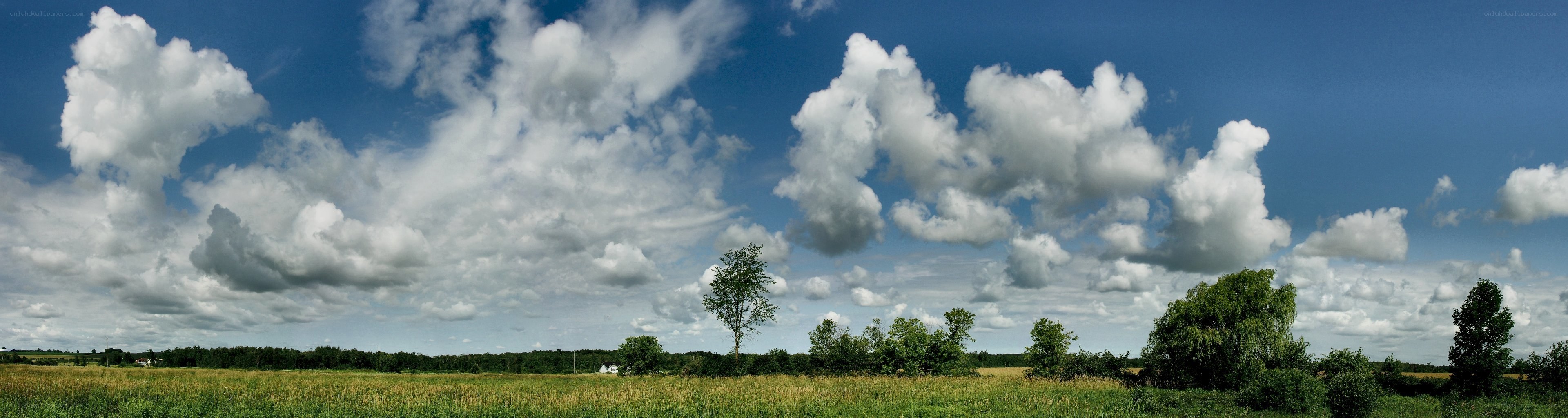 Panoramic field under cloudy sky