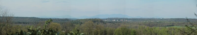 panoramic forest landscape