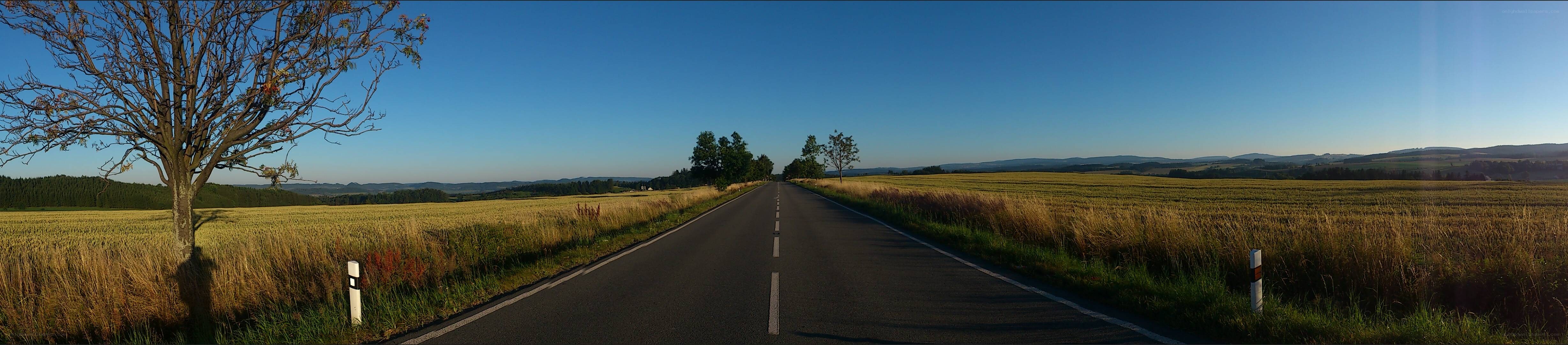 Panoramic road through golden fields