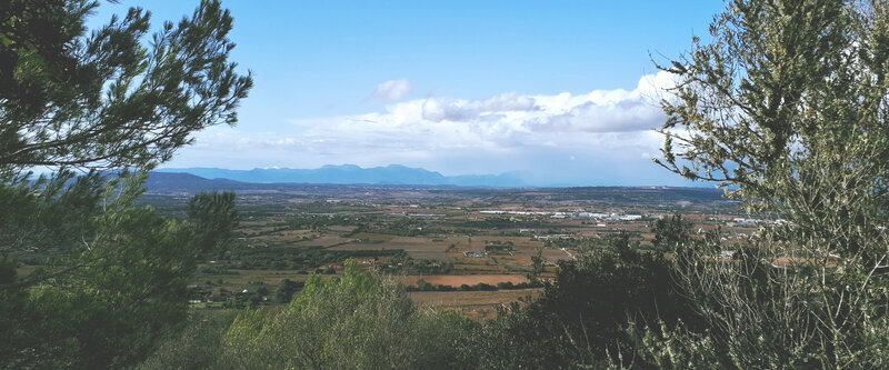 Panoramic Valley View — Green