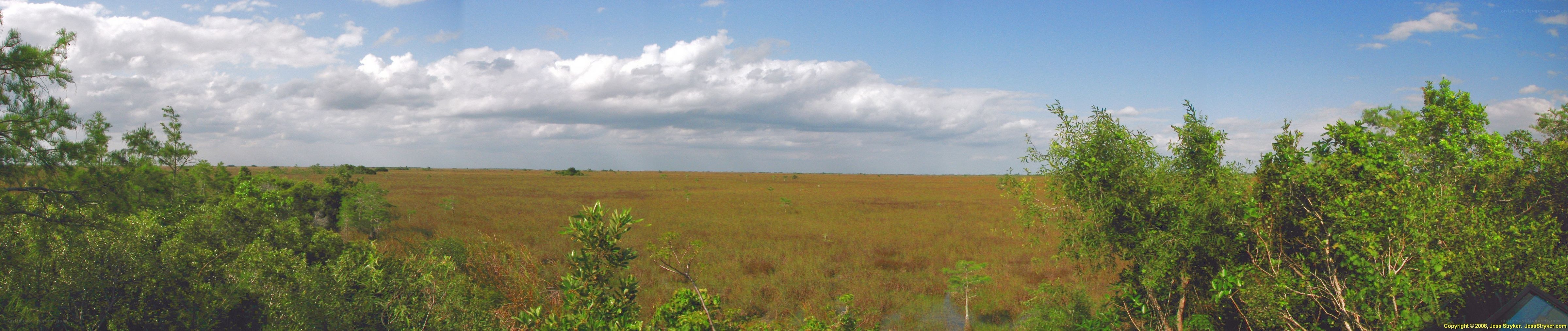 panoramic view of a marsh