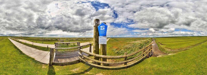 Panoramic view of a national park