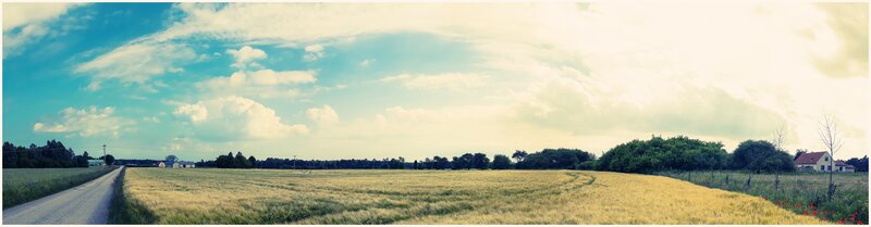 Panoramic view of a rural landscape