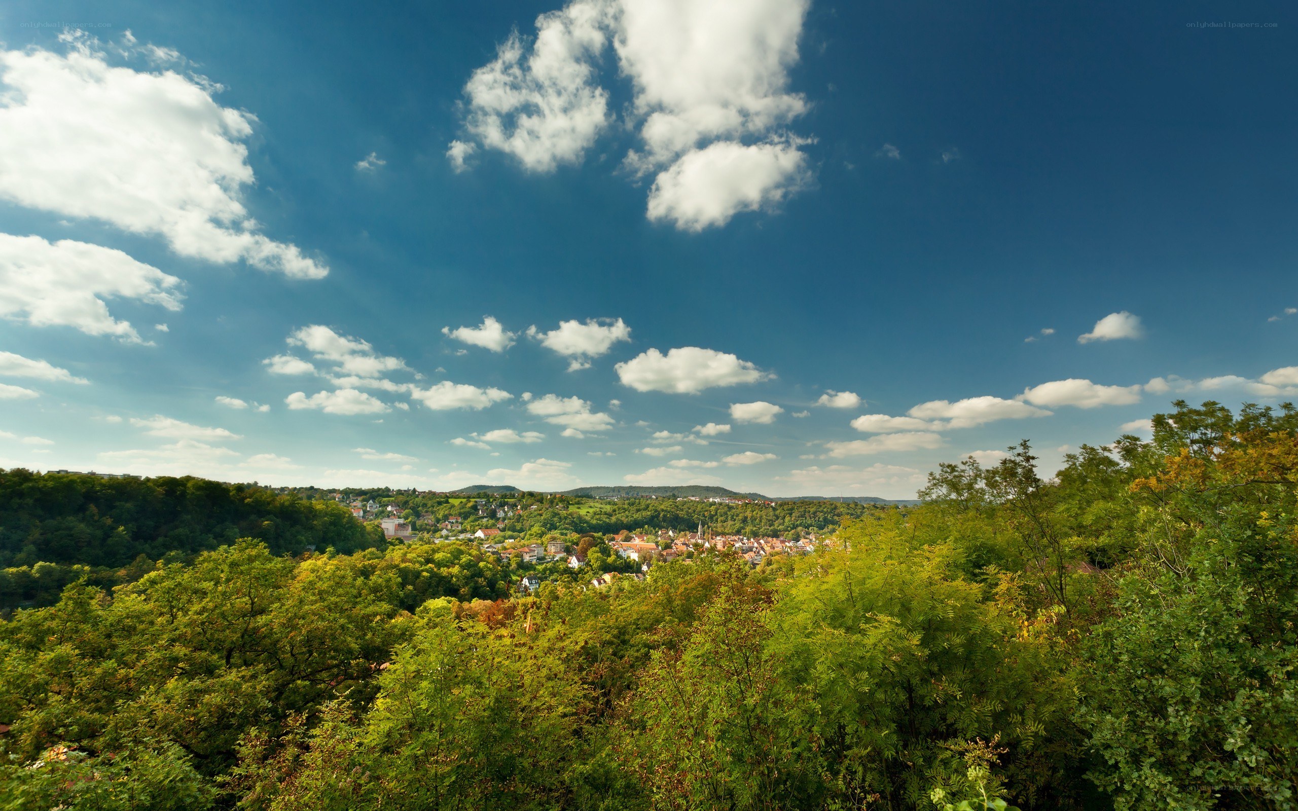 panoramic view of a town