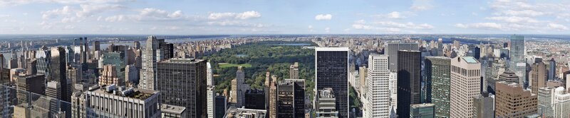 Panoramic View of Central Park — Gray