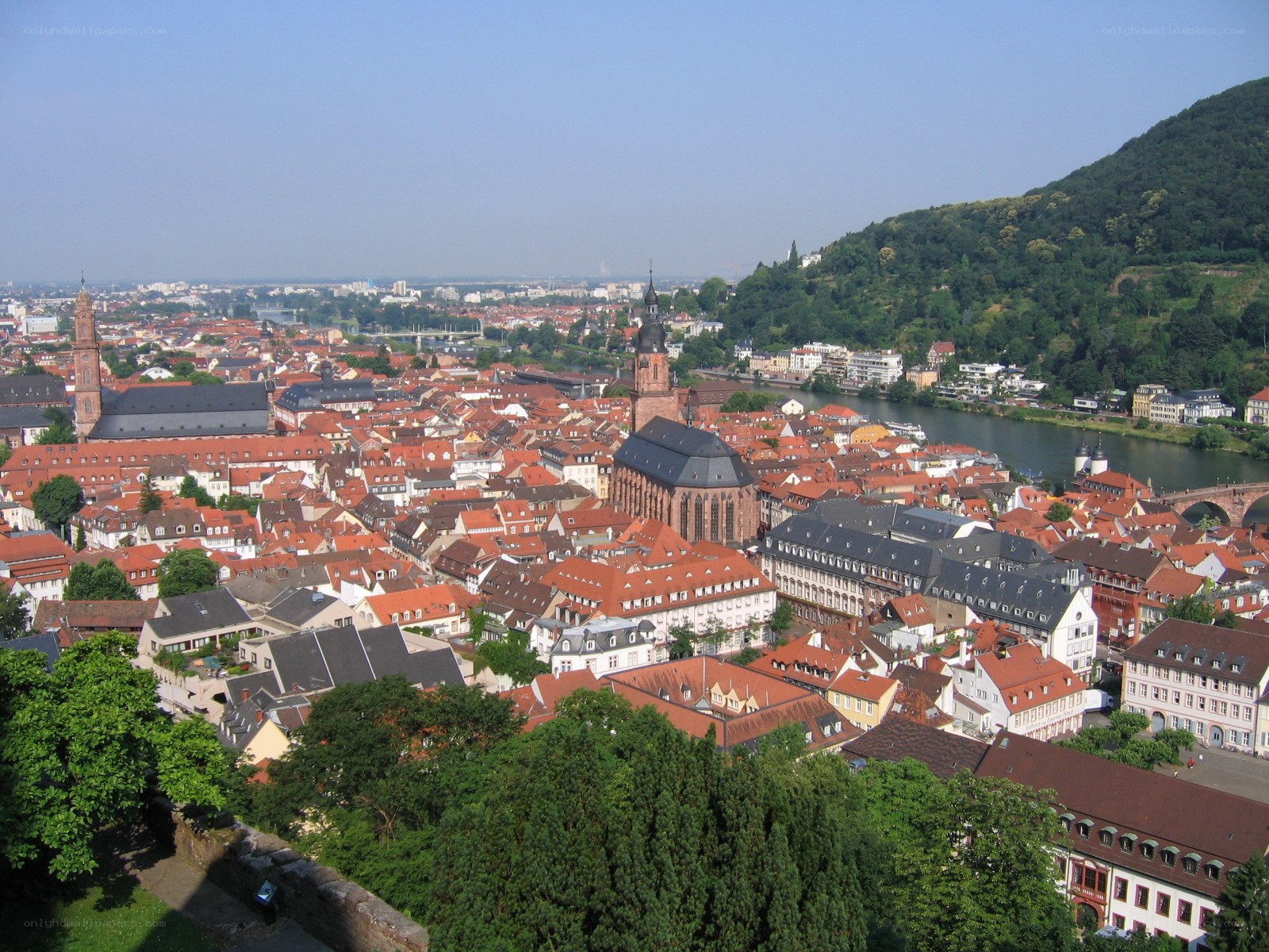 Panoramic view of Heidelberg