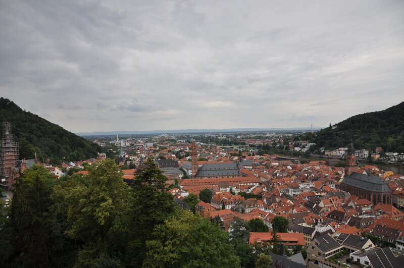 panoramic view of heidelberg