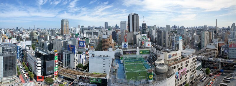 Panoramic view of Tokyo cityscape