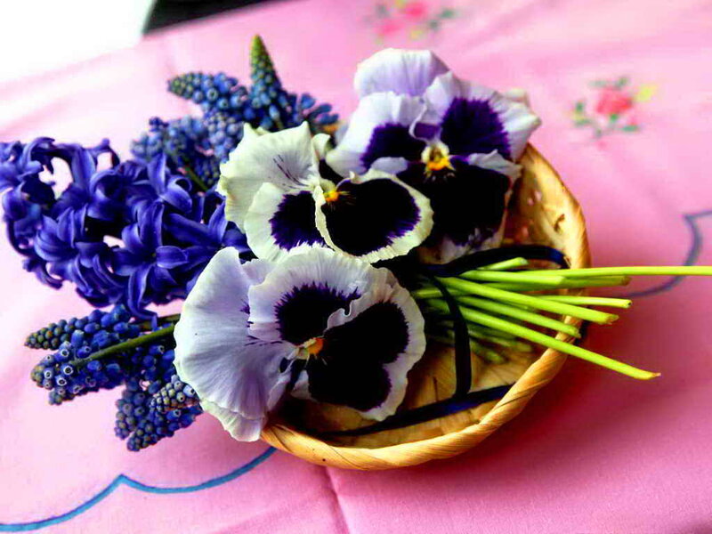 Pansy and Hyacinth Bouquet