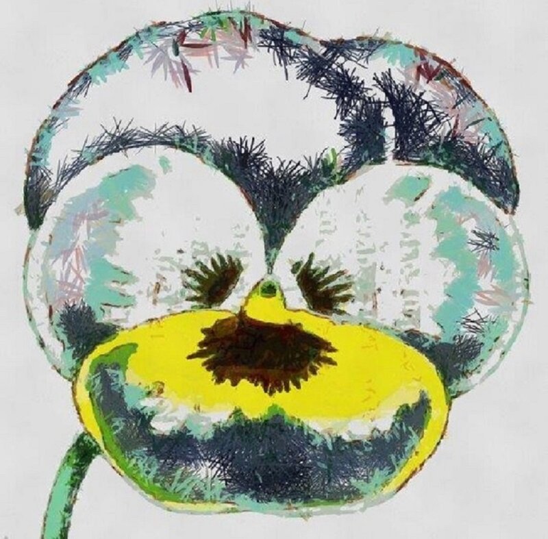 Pansy Flower Illustration