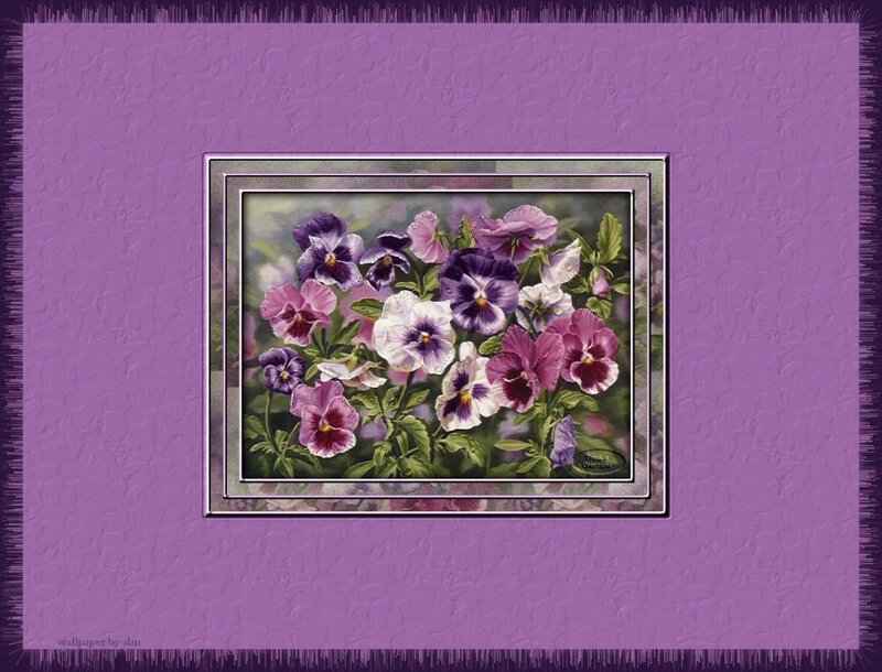 pansy flower painting