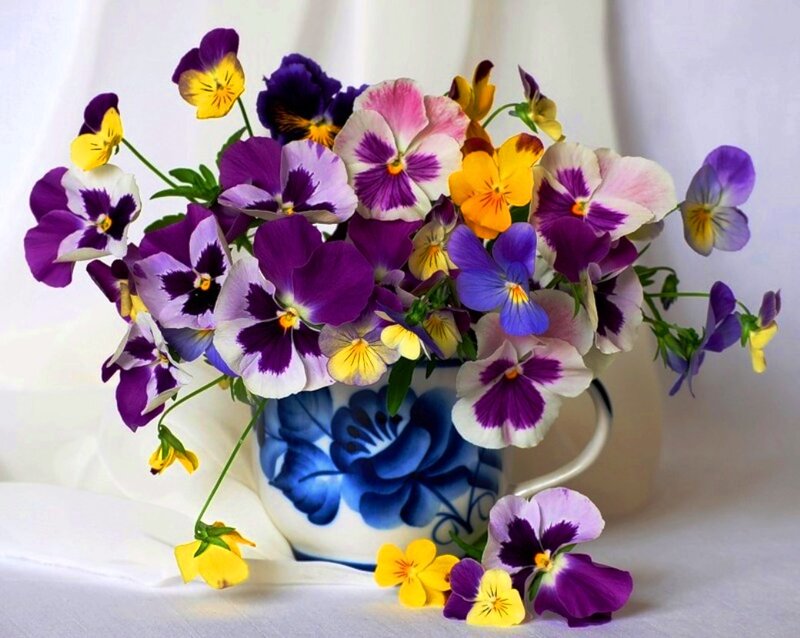 Pansy Flowers in a Vase — Purple