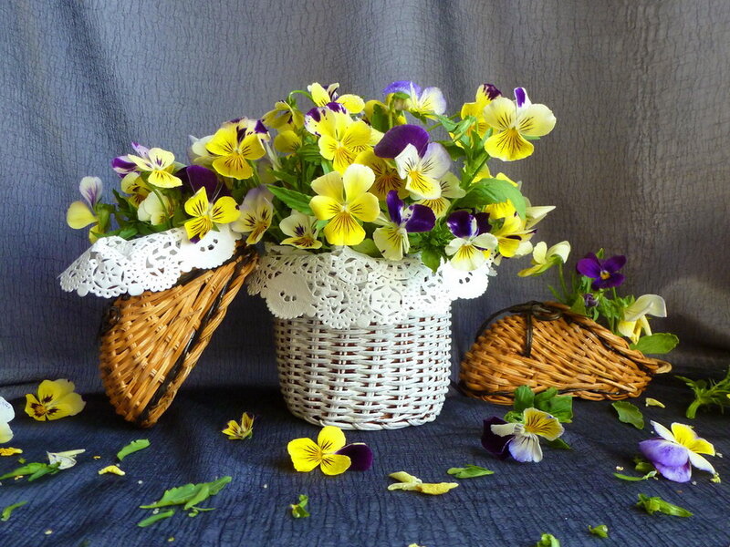 Pansy Flowers in Baskets