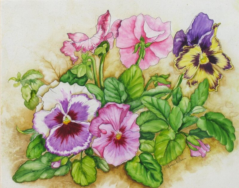Pansy Flowers in Bloom — Pink