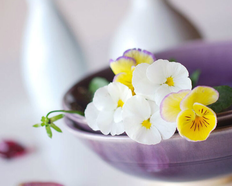 Pansy Flowers in Bowl