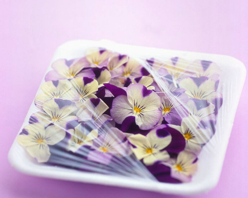 Pansy Flowers in Container